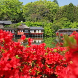 四季折々の彩りが美しい！京都「長岡天満宮」をゆっくりお散歩
