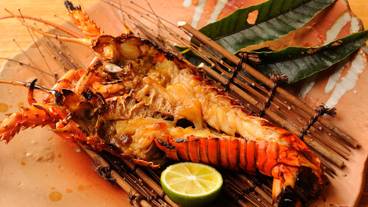 八幡野温泉郷 杜の湯 きらの里（ヤワタノオンセンキョウ モリノユ キラノサト） / 1