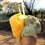 麓ジェラート（フモトジェラート）