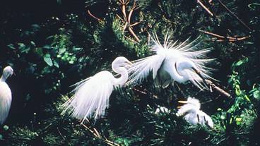 施設からの眺望 / 8