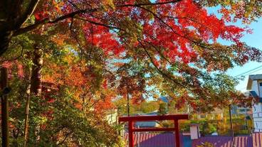 施設の敷地 / 21