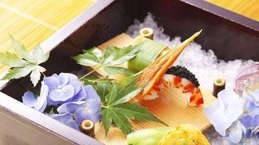 食事・飲み物 / 13