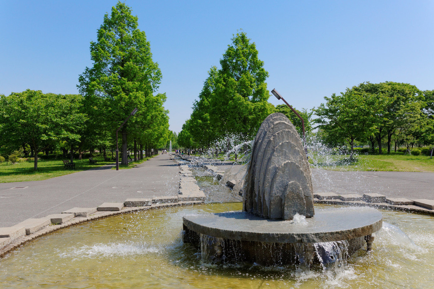 青空が広がる舎人公園の噴水とメタセコイアの林