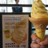 SKY GARDEN 300(スカイガーデンサンビャク)