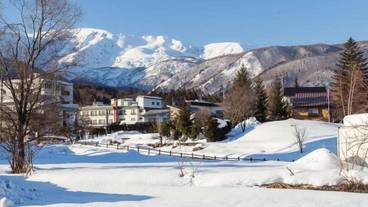 施設の敷地 / 21