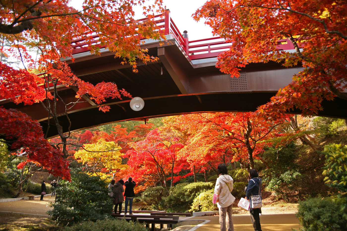弥彦公園の紅葉