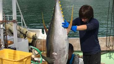 フィットネス設備 / 5