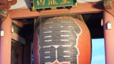 シティ ビュー / 16