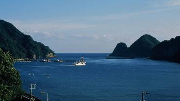 ビーチ / オーシャン ビュー / 22