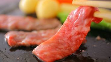 食事・飲み物 / 14