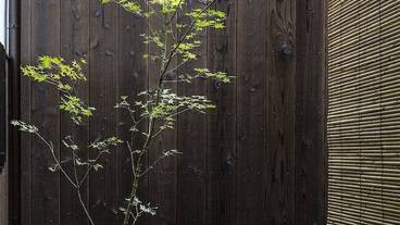 部屋からの景観 / 25