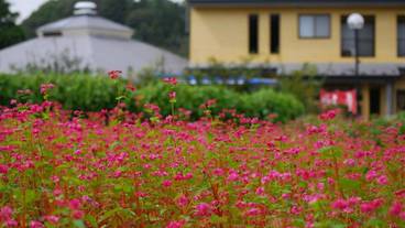 施設の敷地 / 14