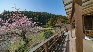 テラス / パティオ / 8