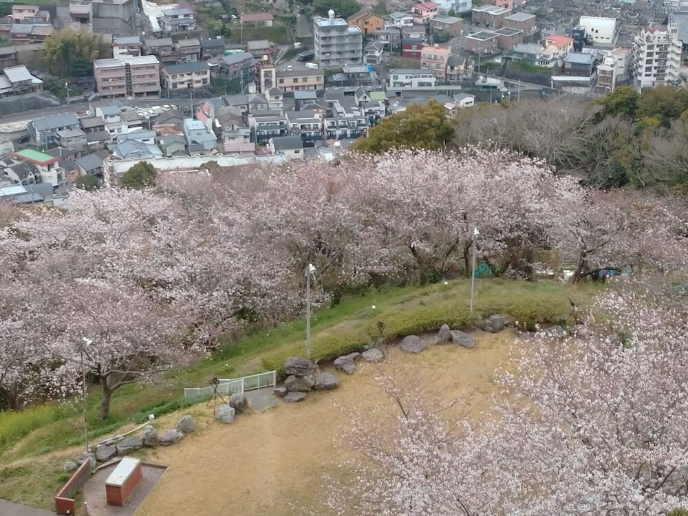 サンデッキ