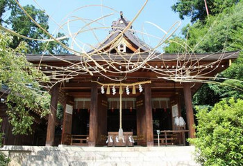 奇祭「おんだ祭」に衝撃・・・の神社でまさに縁結びを951442