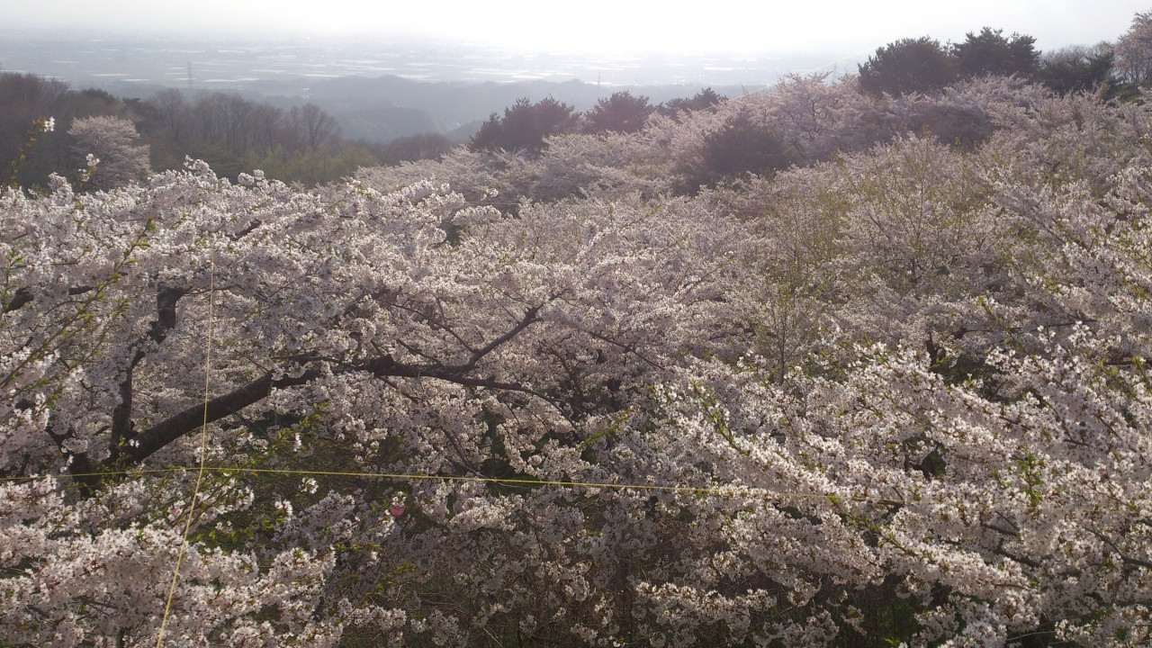 2.加護坊山1559058