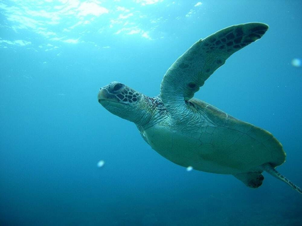 フィットネス設備