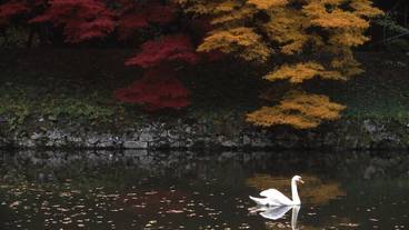 施設からの眺望 / 14