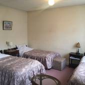 プチホテル&レストラン エアメイル(長野県 ペンション) / 3