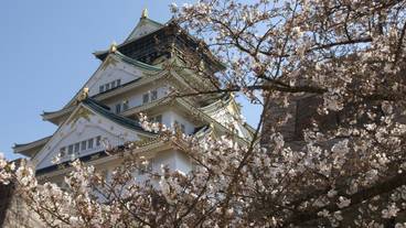 観光スポット / 5