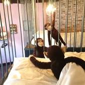 Yadoya Lodge（京都府 コテージ・ロッジ・一棟貸） / 5