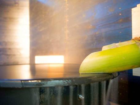 かわもと別邸3466 / 1