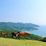パワースポットの宝庫！宮崎旅行で行くべきおすすめ観光スポット11選