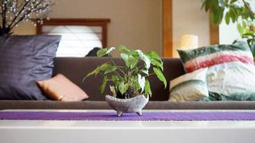 ロビー応接スペース / 4