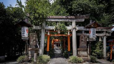 観光スポット / 13