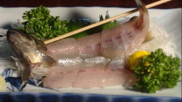 食事・飲み物 / 1