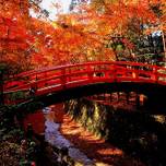 紅葉の名所！“天神さん”こと京都「北野天満宮」を満喫♪