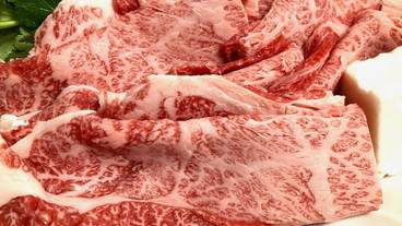 レストラン / 11