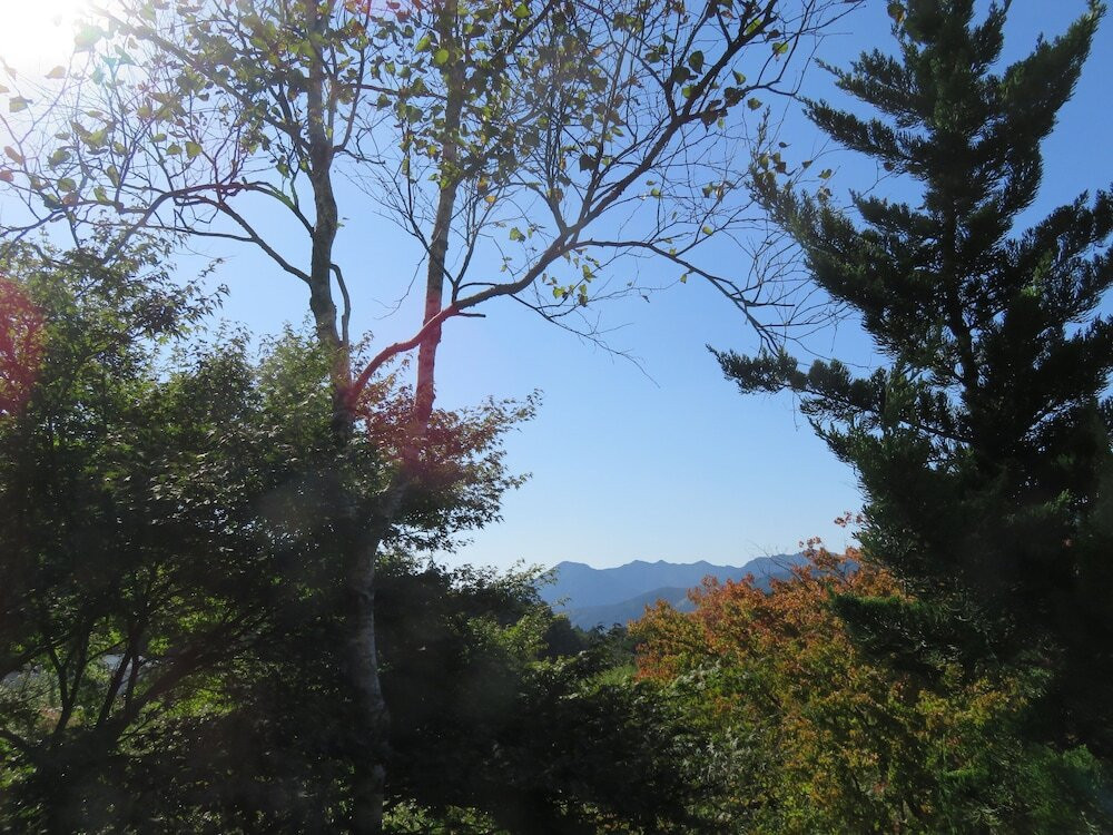 施設からの眺望