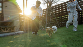 Standard with dogrun, Non Smoking