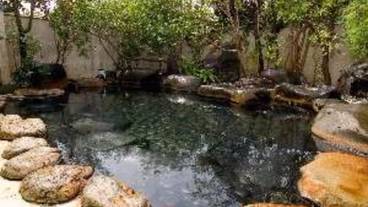 屋外スパ浴槽 / 1