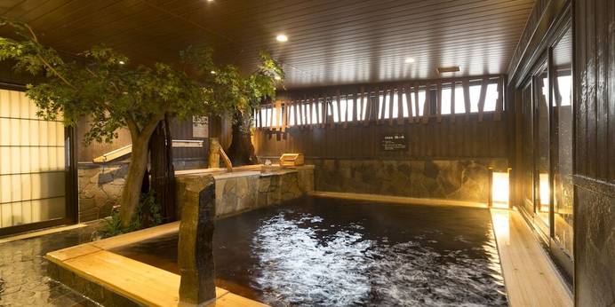 天然温泉 剱の湯 ドーミーイン富山（富山県 ビジネスホテル） / 1