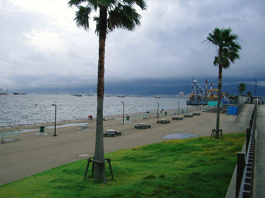 西宮の憩いの広場・鳴尾浜臨海公園717344