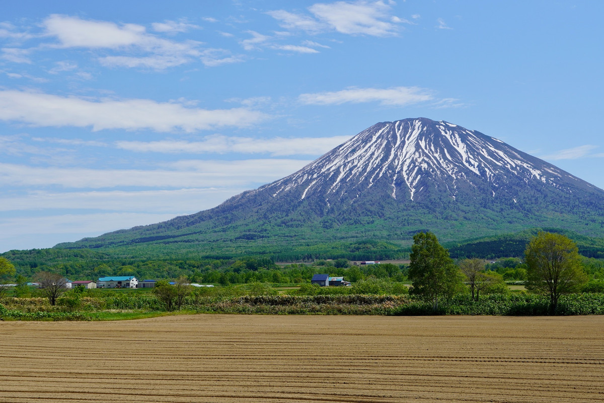 羊蹄山の風景