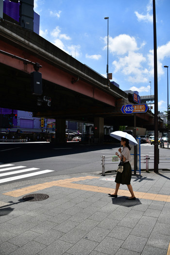 都会の暑さから脱出3505512