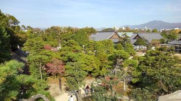 観光スポット / 6