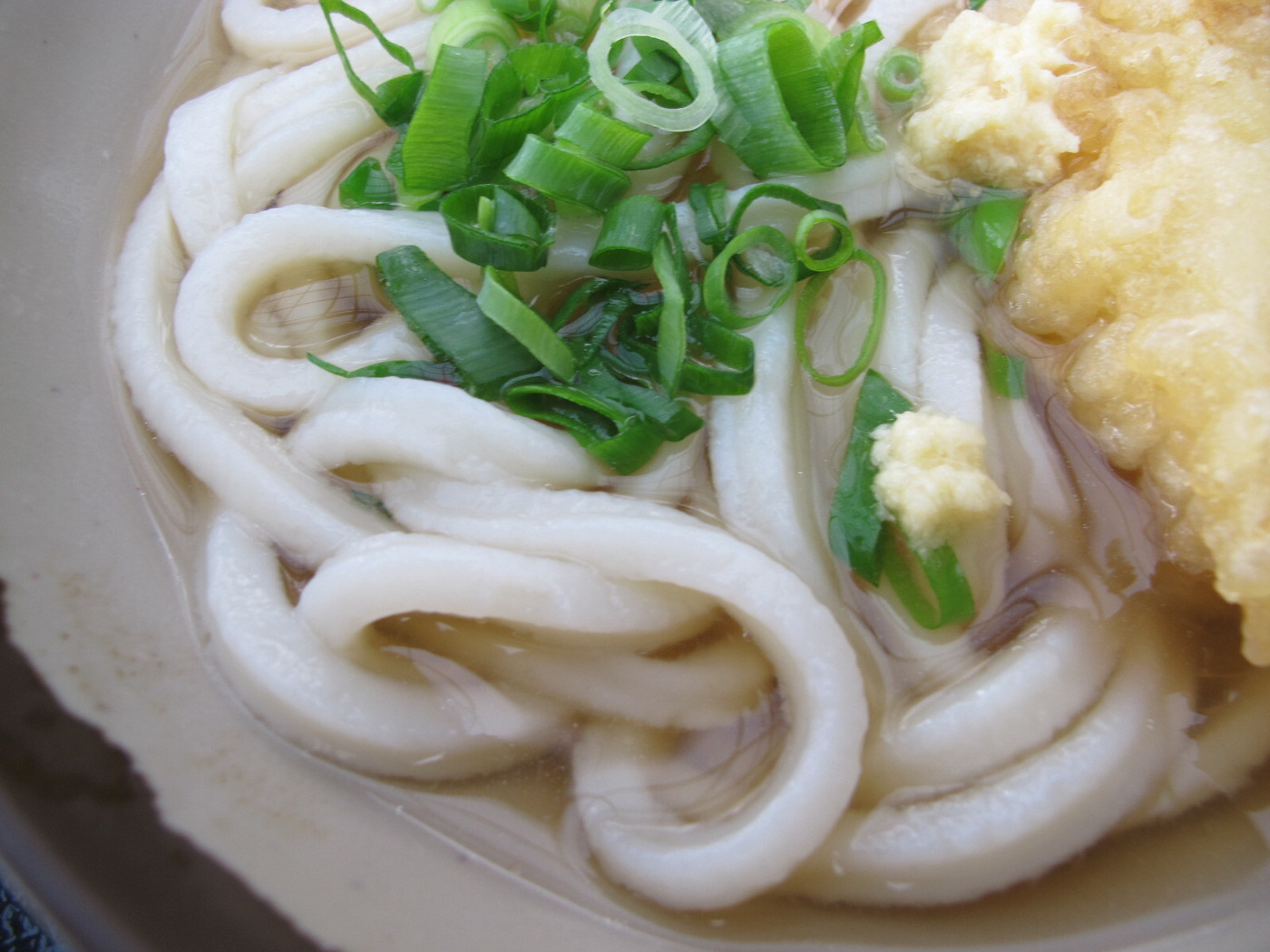 「池上製麺所」料理 891738 かけのアップ