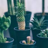 おがわ旅館 Ryokan Ogawa（静岡県 旅館） / 3