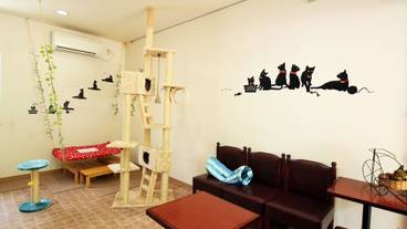 ペット同伴可 / 2