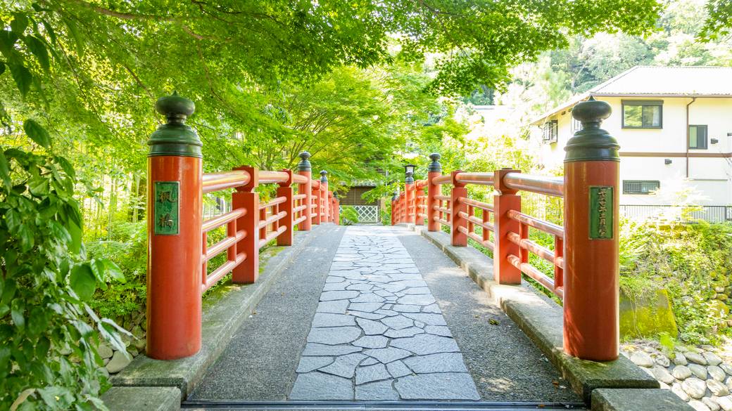願いを込めて歩む
「恋の橋めぐり」 / 1