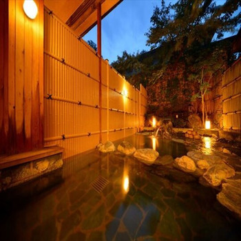 猫好き必見！ねこ女将「まいちゃん」とふれあえる宿4012423