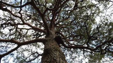 施設からの眺望 / 4