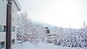 施設の敷地 / 29