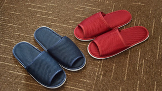 モデレートセミダブルルーム　禁煙　（16平米）