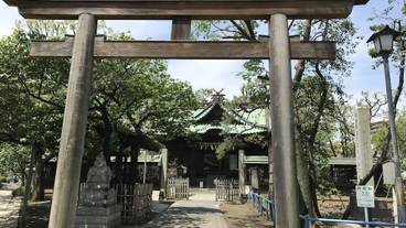 シティ ビュー / 18