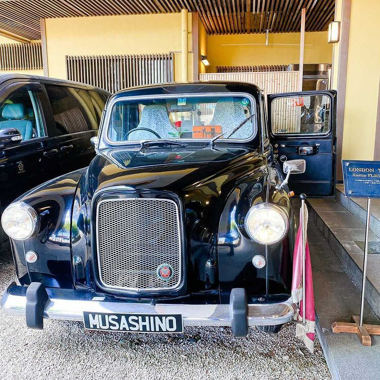 haru___tamaさんの写真 / 1